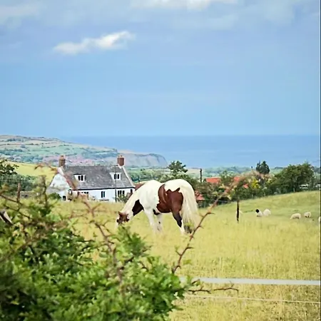 The Flask Inn, Fylingdales, Whitby Pensjonat Fylingdales